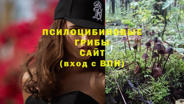 прущие крисы Арсеньев