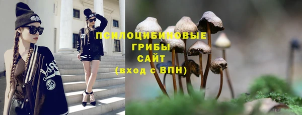 гашик Алексеевка