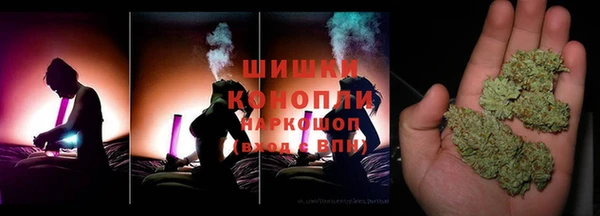 гашик Алексеевка