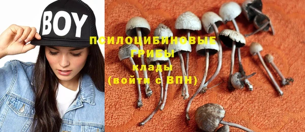 прущие крисы Арсеньев