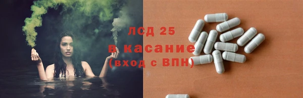 ПСИЛОЦИБИНОВЫЕ ГРИБЫ Алзамай
