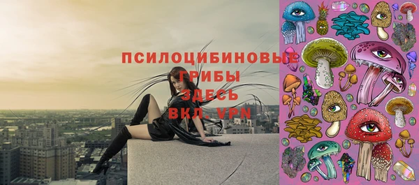 ПСИЛОЦИБИНОВЫЕ ГРИБЫ Алзамай