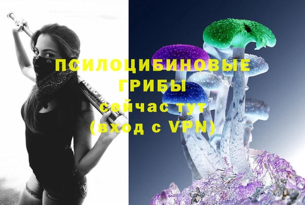 сатива Алексин