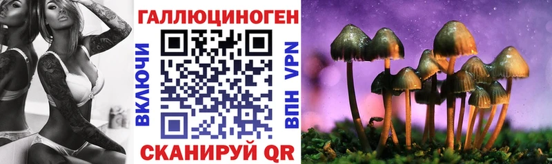 OMG зеркало  Ахтубинск  Галлюциногенные грибы ЛСД 