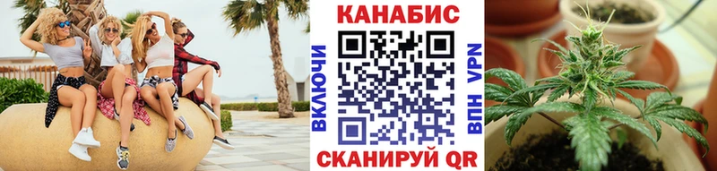 где продают   Ахтубинск  Канабис MAZAR 